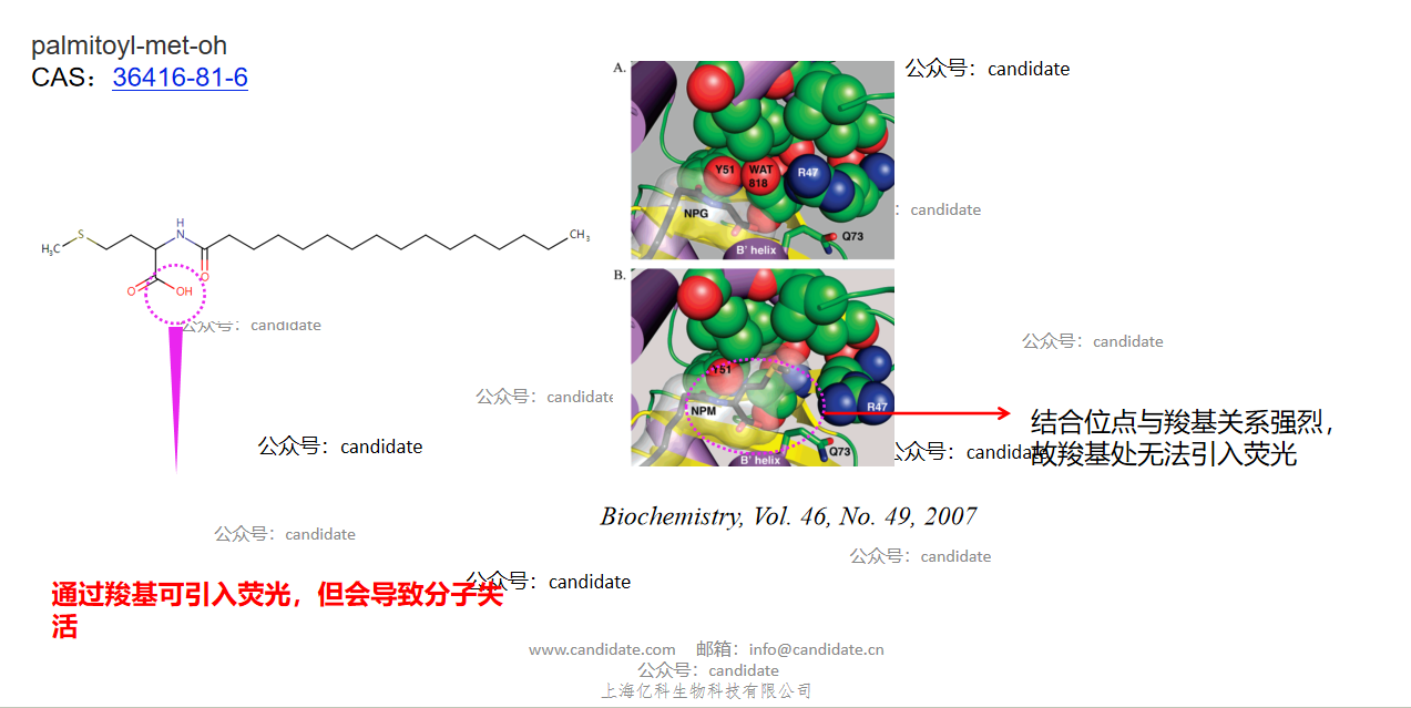 palmitoyl-met-oh