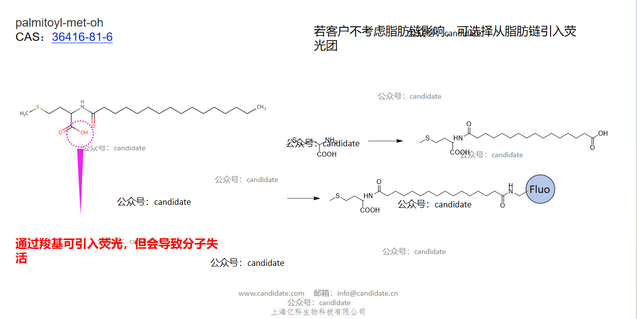 palmitoyl-met-oh